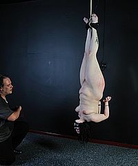 Suspension Whipping Horror