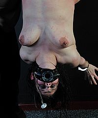 Suspension Whipping Horror